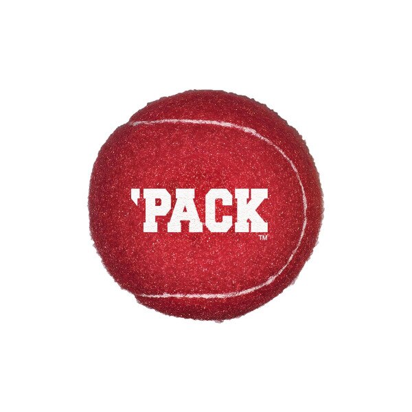 Red Tennis Ball-Pet Toy
